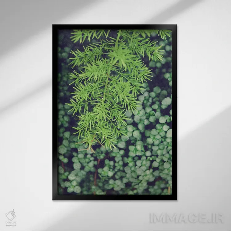 تابلو دکوراتیو همان گونه که هست اثر اولیویا جوی سنت کلر - نمای قابدار مشکی