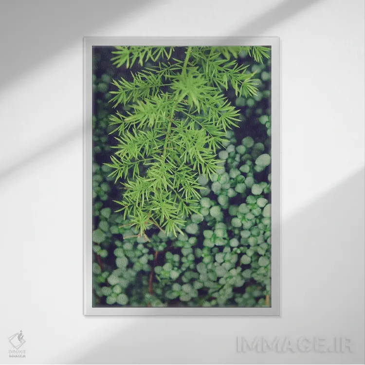 تابلو دکوراتیو همان گونه که هست اثر اولیویا جوی سنت کلر - نمای قابدار سفید