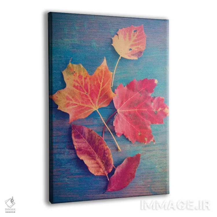 تابلو دکوراتیو طبیعت بی جان با برگ پاییزی اثر اولیویا جوی سنت کلر - نمای پرسپکتیو محصول