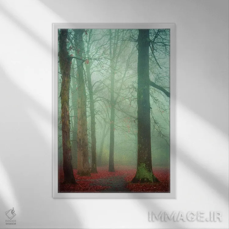 تابلو دکوراتیو مه پاییزی اثر اولیویا جوی سنت کلر - نمای قابدار سفید