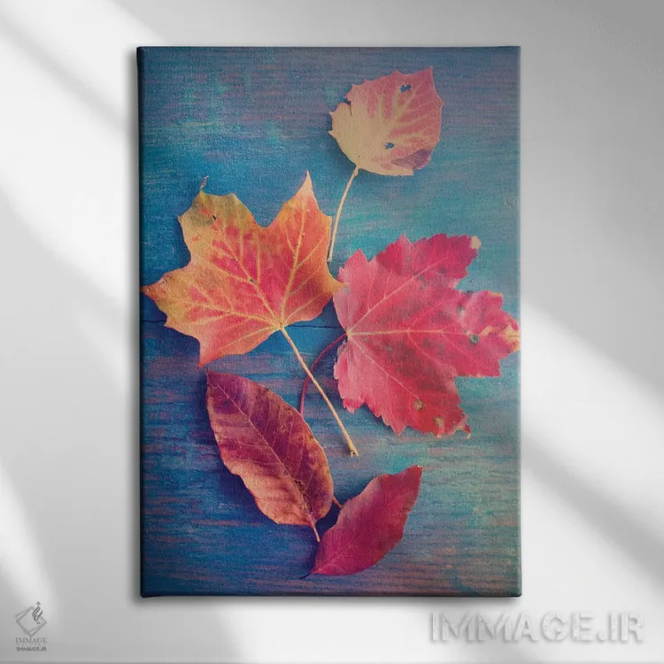 تابلو دکوراتیو طبیعت بی جان با برگ پاییزی اثر اولیویا جوی سنت کلر - نمای روبهرو روی دیوار