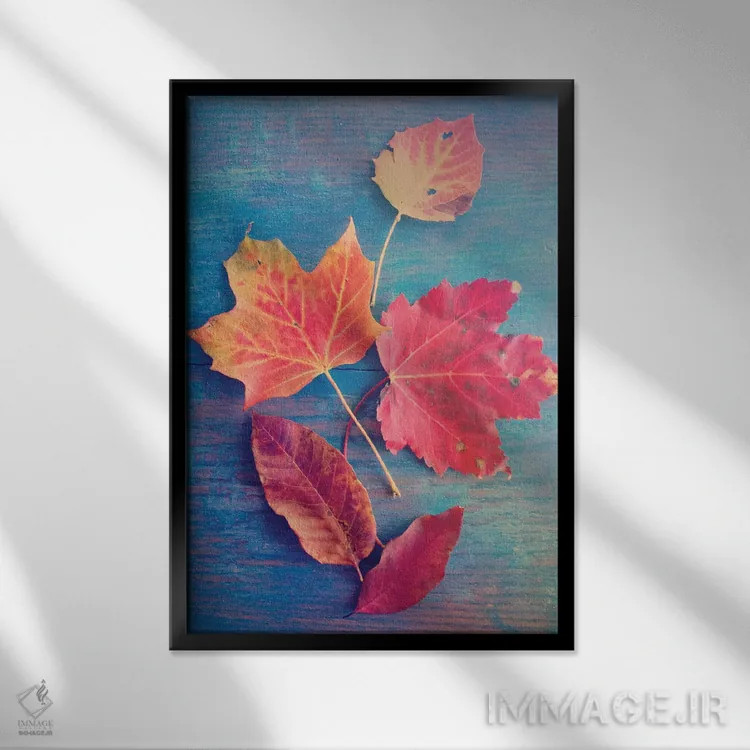 تابلو دکوراتیو طبیعت بی جان با برگ پاییزی اثر اولیویا جوی سنت کلر - نمای قابدار مشکی