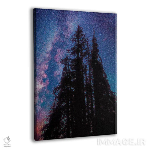 تابلو دکوراتیو زیر ستارگان ۲ اثر اولنا آرت - نمای پرسپکتیو محصول