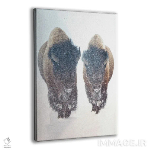 تابلو دکوراتیو شکوفه های آفتابی اثر اولنا آرت - نمای پرسپکتیو محصول