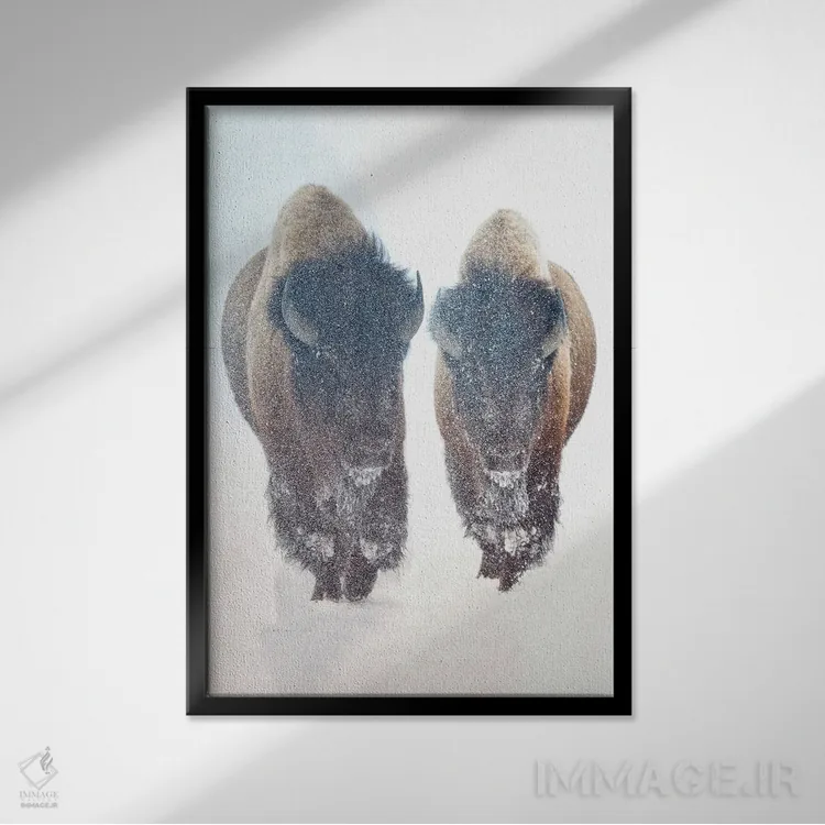 تابلو دکوراتیو شکوفه های آفتابی اثر اولنا آرت - نمای قابدار مشکی