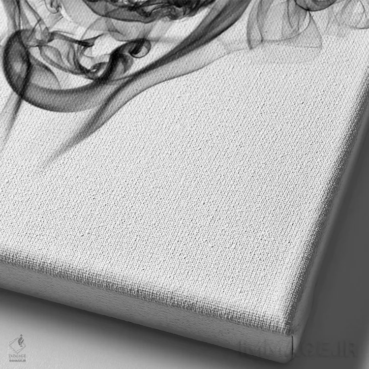 تابلو دکوراتیو آلبرت اینشتین اثر اکتاویان میلو - نمای نزدیک بافت بوم