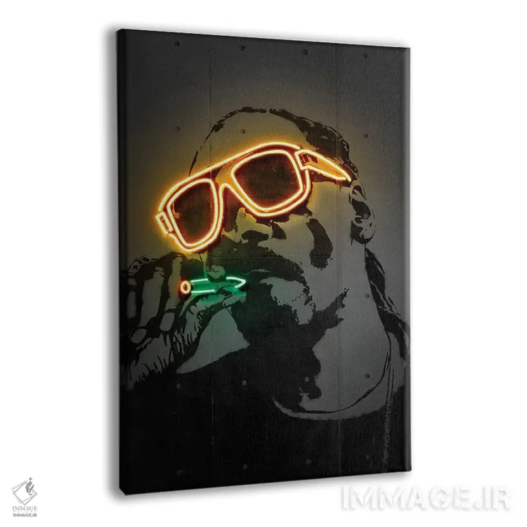 تابلو دکوراتیو اسنوپ داگ اثر اکتاویان میلو - نمای پرسپکتیو محصول