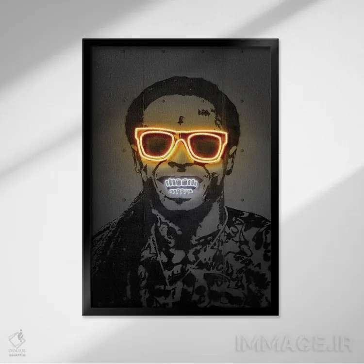 تابلو دکوراتیو لیل وین اثر اکتاویان میلو - نمای قابدار مشکی