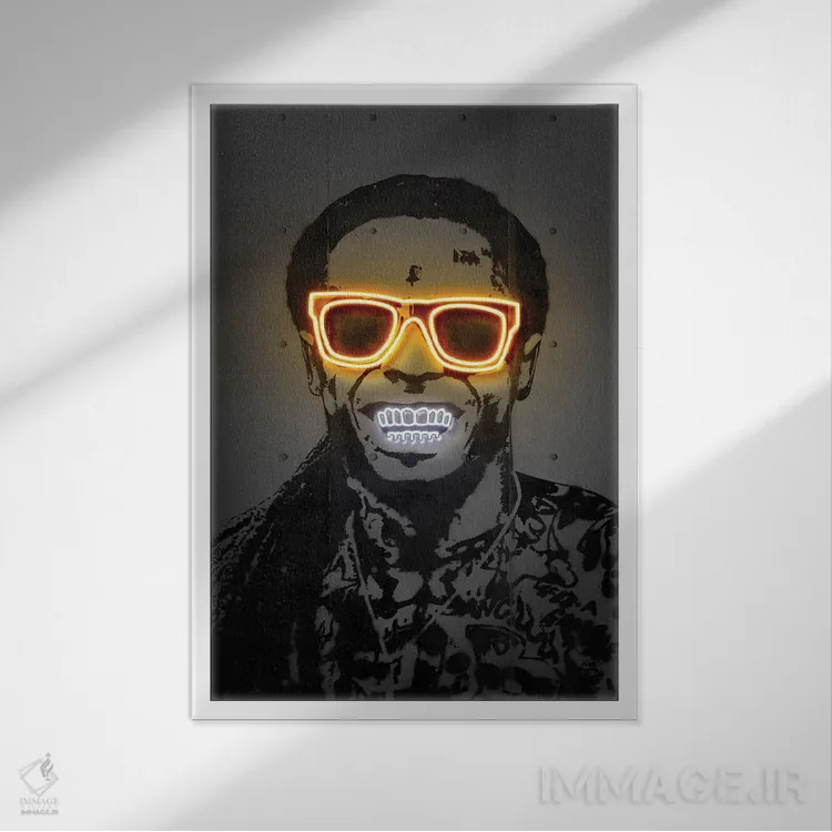 تابلو دکوراتیو لیل وین اثر اکتاویان میلو - نمای قابدار سفید