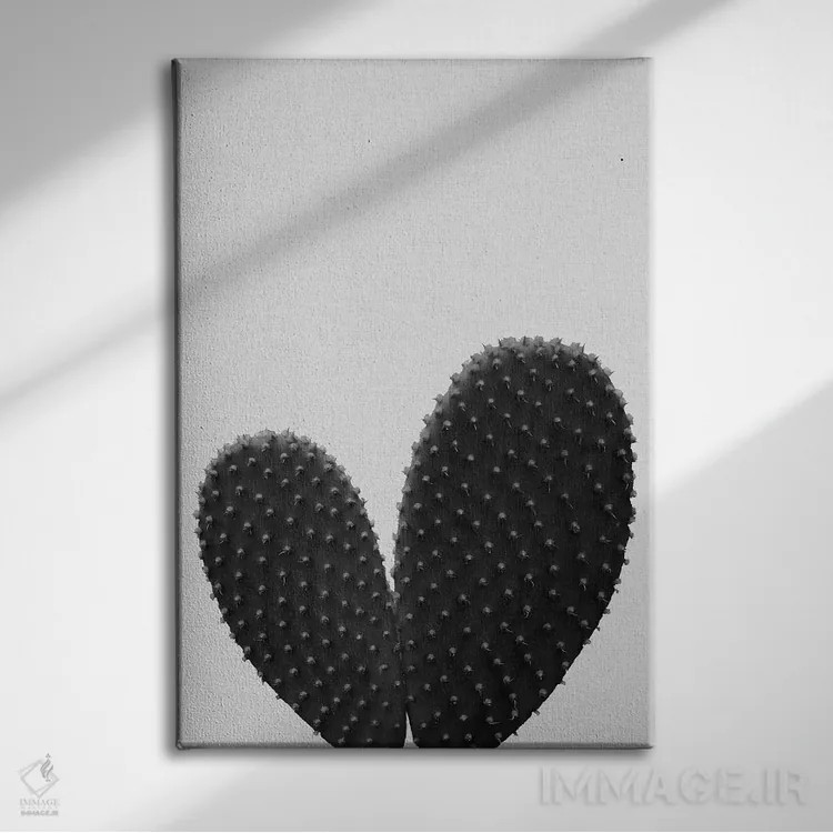 تابلو مینیمال کاکتوس قلبی سیاه و سفید اثر اورارا استودیو - نمای روبهرو روی دیوار