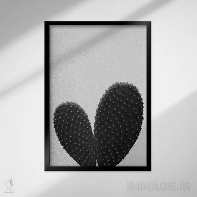 تابلو مینیمال کاکتوس قلبی سیاه و سفید اثر اورارا استودیو - نمای قابدار مشکی