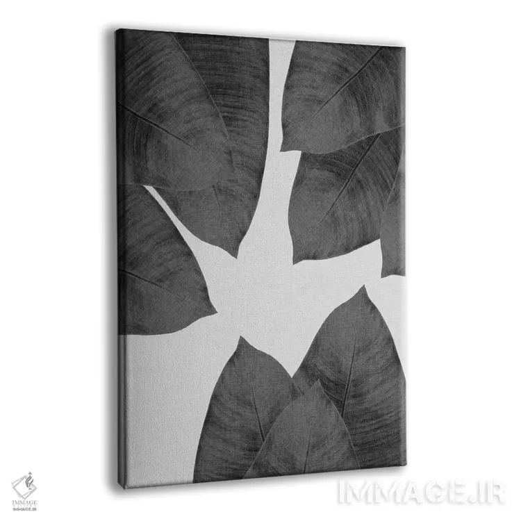 تابلو مدرن برگ موز I سیاه و سفید اثر اورارا استودیو - نمای پرسپکتیو محصول
