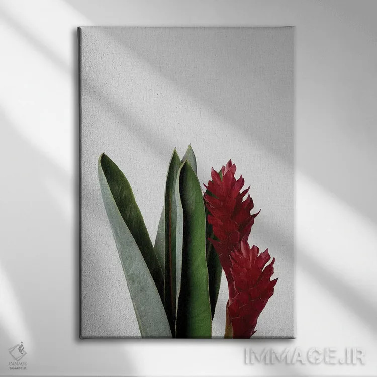 تابلو مینیمال گل قرمز اثر اورارا استودیو - نمای روبهرو روی دیوار