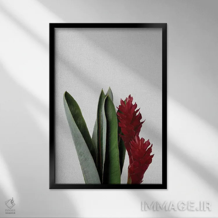 تابلو مینیمال گل قرمز اثر اورارا استودیو - نمای قابدار مشکی