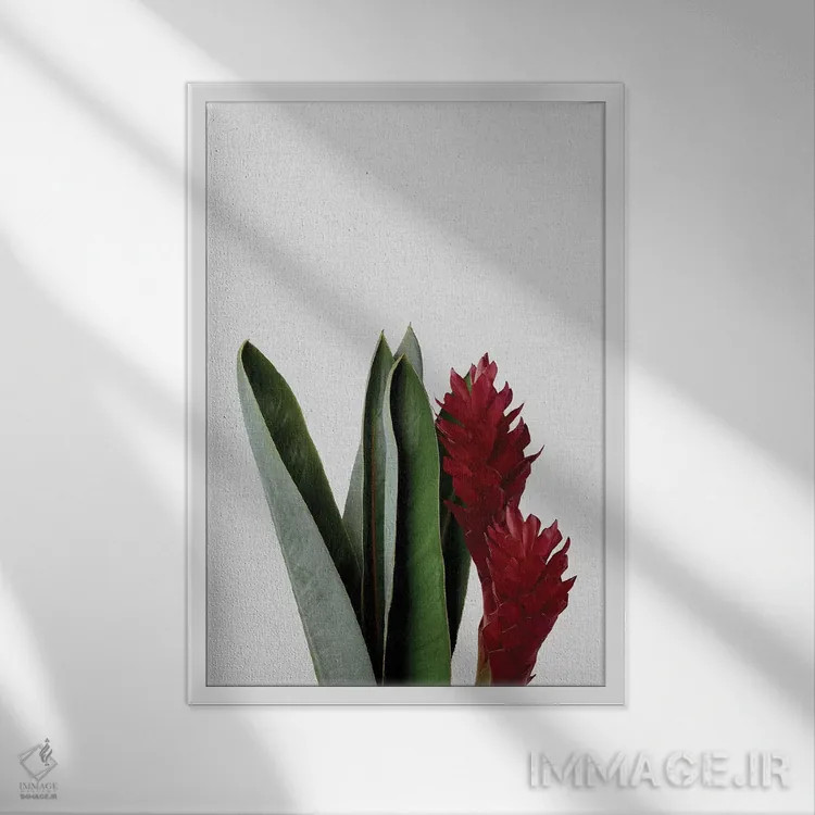 تابلو مینیمال گل قرمز اثر اورارا استودیو - نمای قابدار سفید