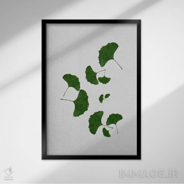 تابلو مینیمال برگ جینکو ۱ اثر اورارا استودیو - نمای قابدار مشکی
