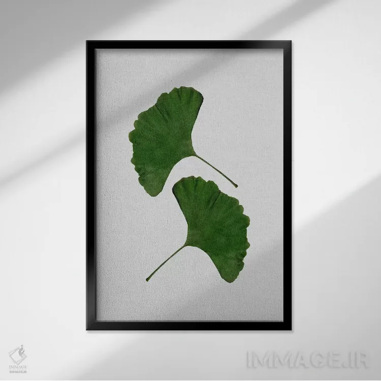 تابلو مینیمال برگ جینکو ۲ اثر اورارا استودیو - نمای قابدار مشکی