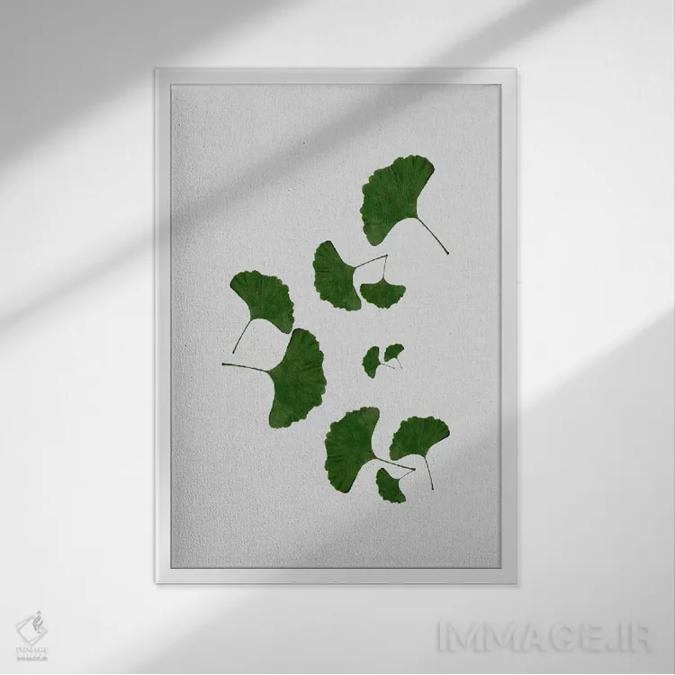 تابلو مینیمال برگ جینکو ۱ اثر اورارا استودیو - نمای قابدار سفید