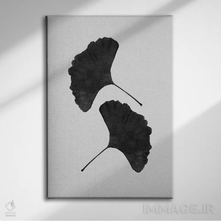 تابلو مینیمال برگ جینکو ۲ سیاه و سفید اثر اورارا استودیو - نمای روبهرو روی دیوار