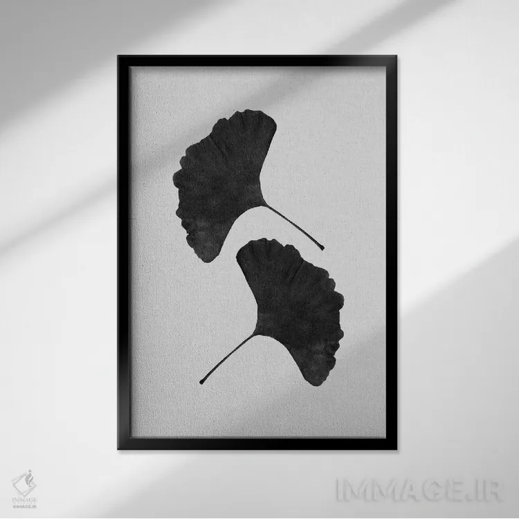 تابلو مینیمال برگ جینکو ۲ سیاه و سفید اثر اورارا استودیو - نمای قابدار مشکی