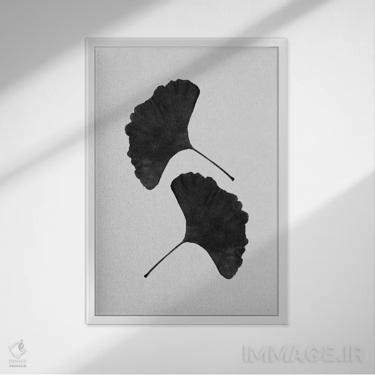 تابلو مینیمال برگ جینکو ۲ سیاه و سفید اثر اورارا استودیو - نمای قابدار سفید