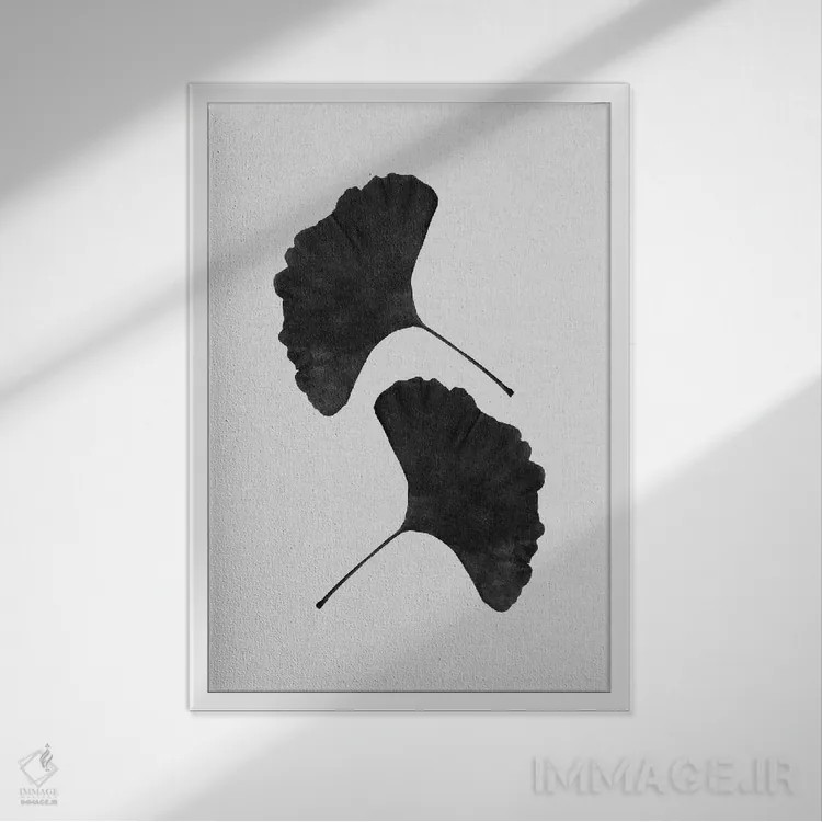 تابلو مینیمال برگ جینکو ۲ سیاه و سفید اثر اورارا استودیو - نمای قابدار سفید