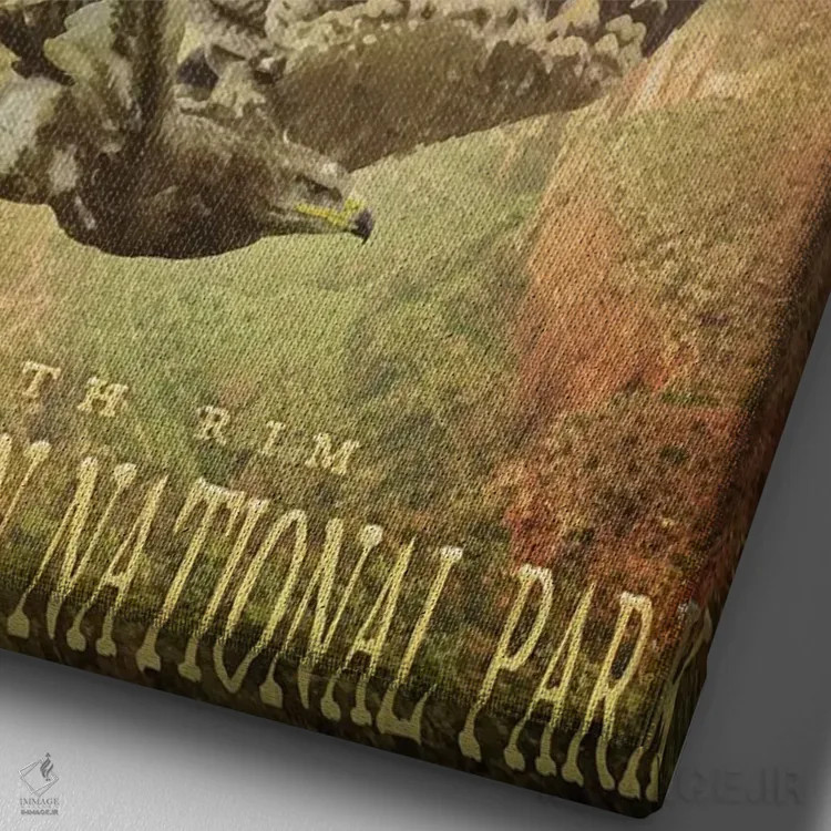 تابلو دکوراتیو لبه دره اثر اولد رد تراک - نمای نزدیک بافت بوم