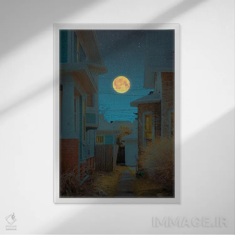 تابلو دکوراتیو نور ماه سوم اثر دانر اوروزکو - نمای قابدار سفید