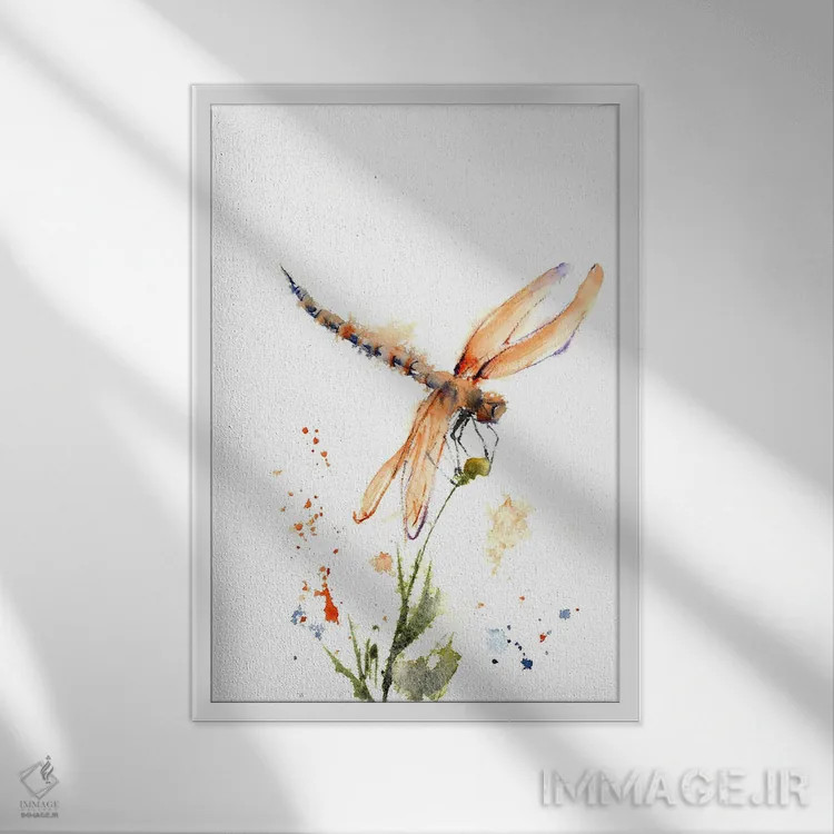 تابلو دکوراتیو سنجاقک ۲ اثر الگا چفرانوف - نمای قابدار سفید