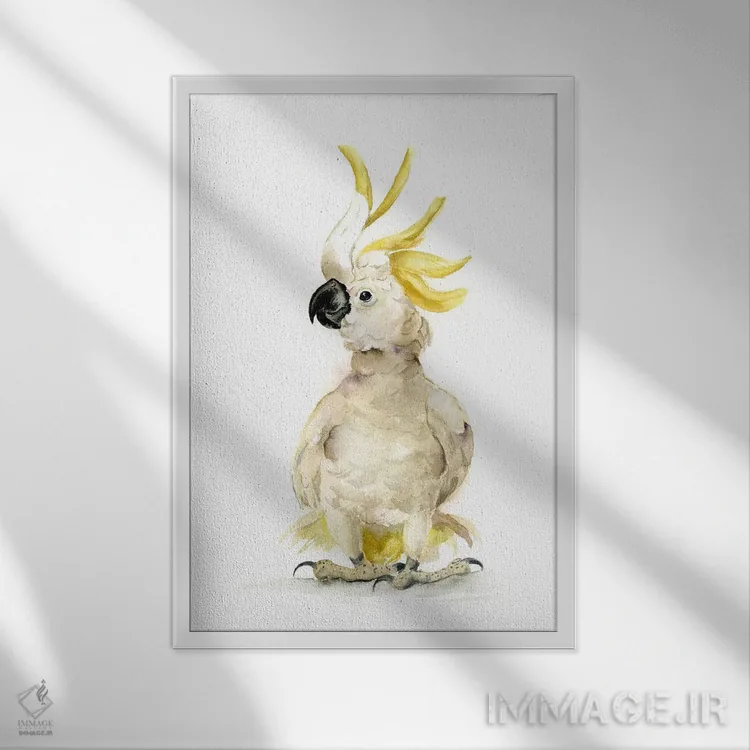 تابلو دکوراتیو کاکاتو اثر الگا چفرانوف - نمای قابدار سفید