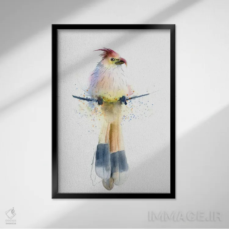 تابلو دکوراتیو پرنده گرمسیری اثر الگا چفرانوف - نمای قابدار مشکی
