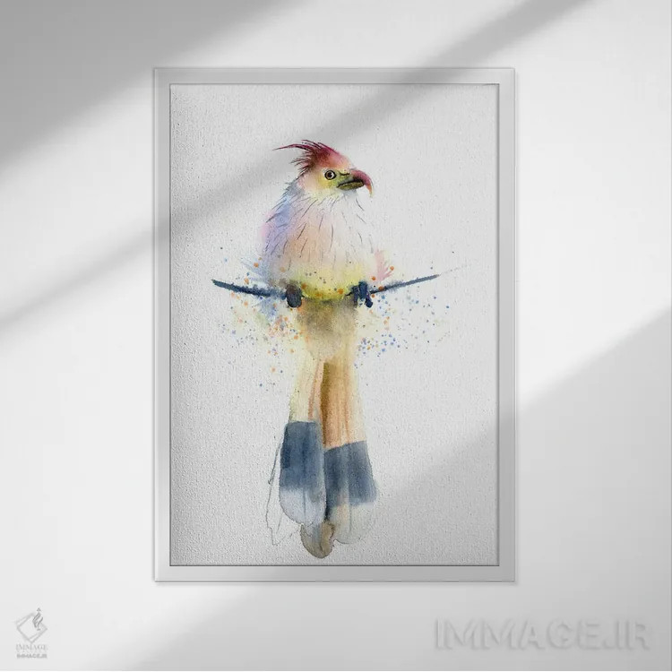 تابلو دکوراتیو پرنده گرمسیری اثر الگا چفرانوف - نمای قابدار سفید