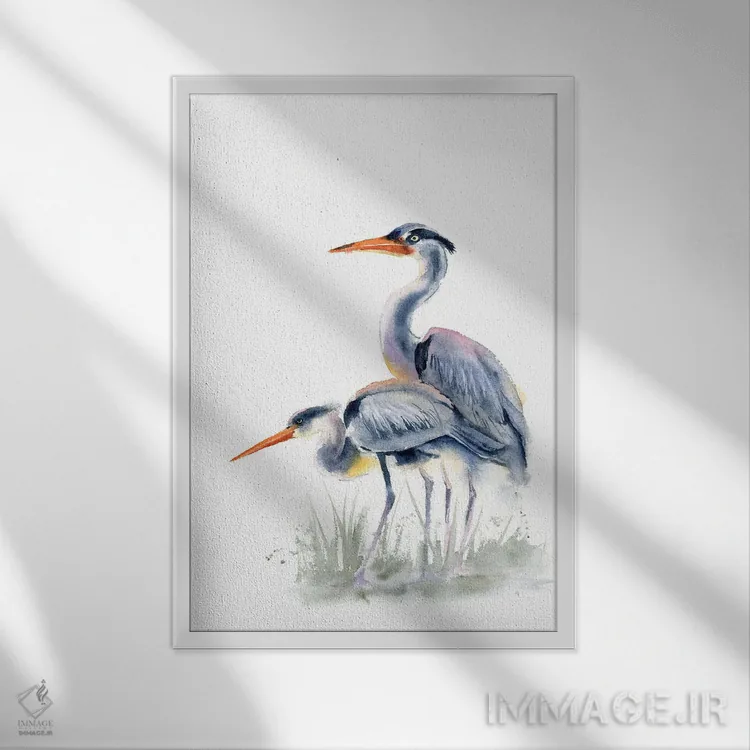 تابلو دکوراتیو مرغ آبکنار ها اثر الگا چفرانوف - نمای قابدار سفید