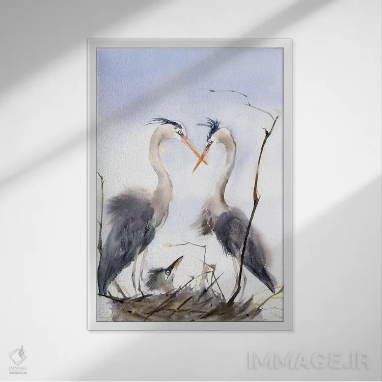 تابلو دکوراتیو خانواده مرغ آبکنار ۲ اثر الگا چفرانوف - نمای قابدار سفید