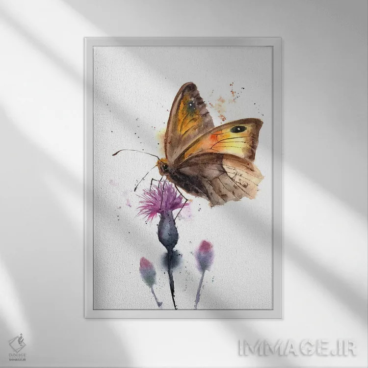 تابلو دکوراتیو پروانه اثر الگا چفرانوف - نمای قابدار سفید