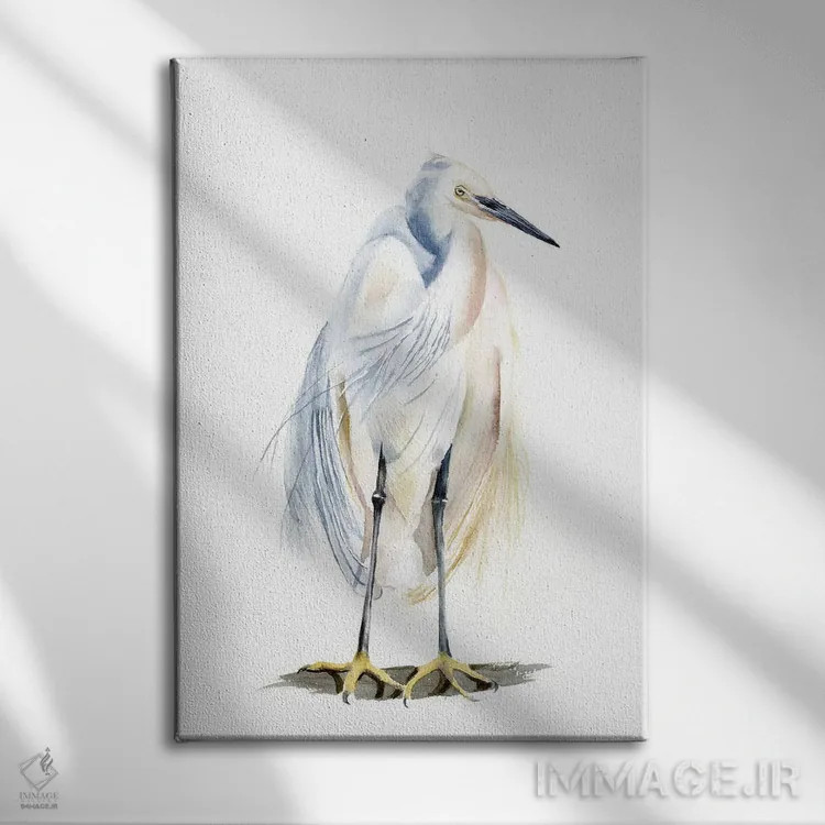 تابلو دکوراتیو مرغ آبکنار سفید اثر الگا چفرانوف - نمای روبهرو روی دیوار