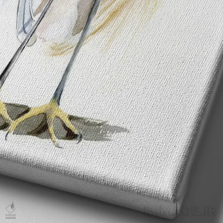 تابلو دکوراتیو مرغ آبکنار سفید اثر الگا چفرانوف - نمای نزدیک بافت بوم