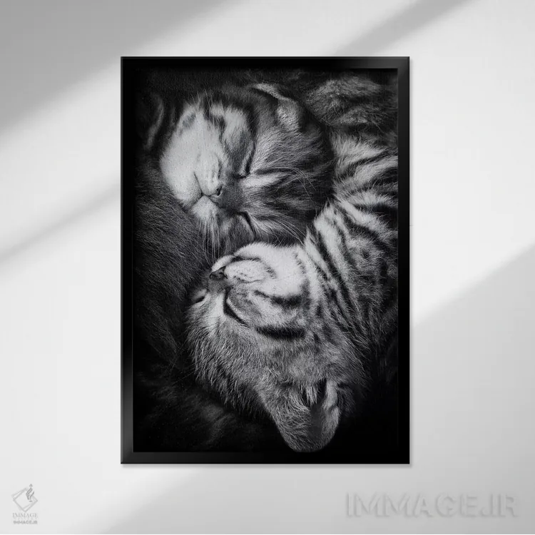 تابلو دکوراتیو "یین و یانگ" اثر آندریا یانکووا - نمای قابدار مشکی