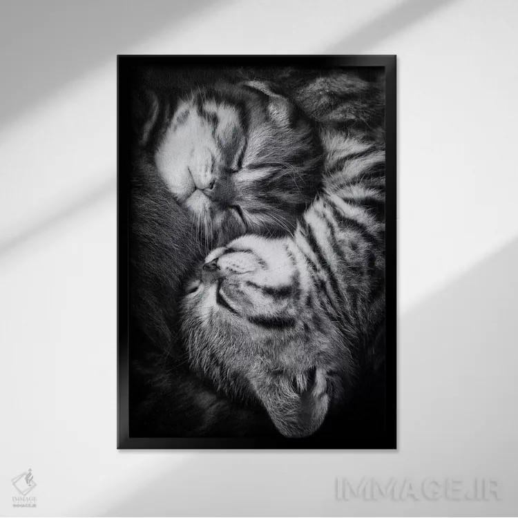 تابلو دکوراتیو "یین و یانگ" اثر آندریا یانکووا - نمای قابدار مشکی