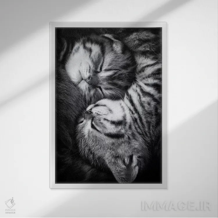 تابلو دکوراتیو "یین و یانگ" اثر آندریا یانکووا - نمای قابدار سفید