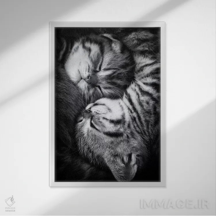 تابلو دکوراتیو "یین و یانگ" اثر آندریا یانکووا - نمای قابدار سفید