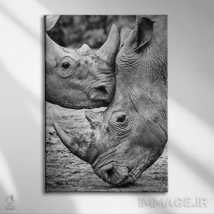 تابلو دکوراتیو رو در رو اثر خسوس کنسپسیون - نمای روبهرو روی دیوار