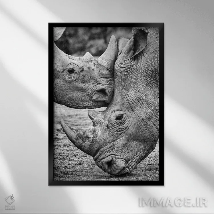 تابلو دکوراتیو رو در رو اثر خسوس کنسپسیون - نمای قابدار مشکی