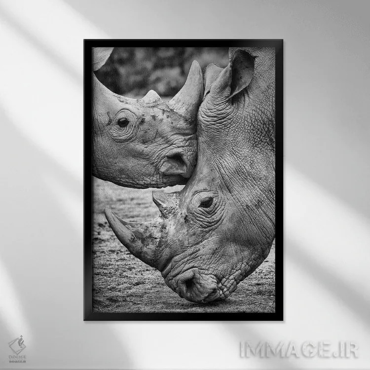 تابلو دکوراتیو رو در رو اثر خسوس کنسپسیون - نمای قابدار مشکی