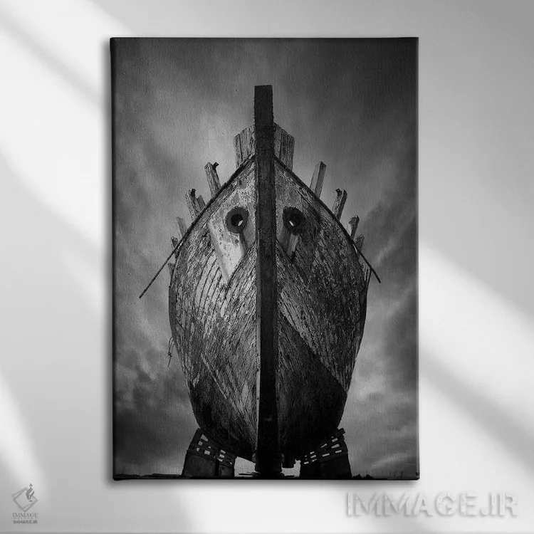 تابلو دکوراتیو دراکار اثر سباستین دل گروسو - نمای روبهرو روی دیوار