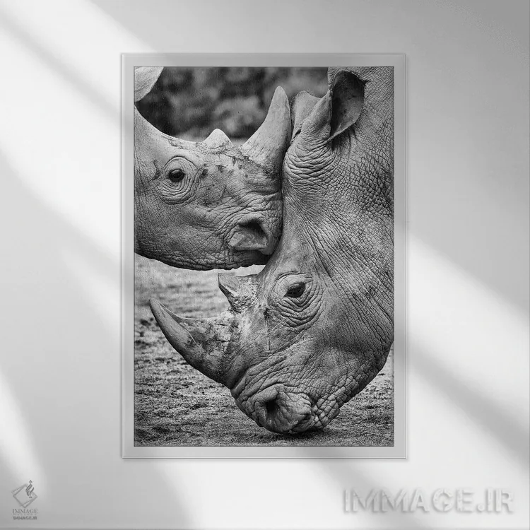 تابلو دکوراتیو رو در رو اثر خسوس کنسپسیون - نمای قابدار سفید