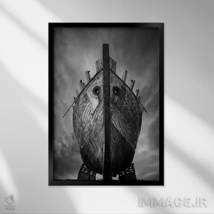 تابلو دکوراتیو دراکار اثر سباستین دل گروسو - نمای قابدار مشکی