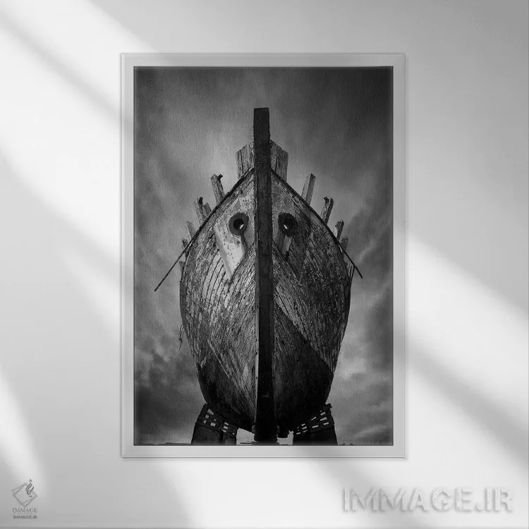 تابلو دکوراتیو دراکار اثر سباستین دل گروسو - نمای قابدار سفید