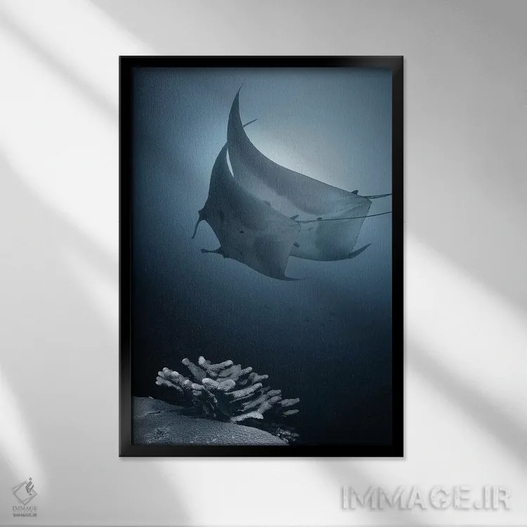 تابلو دکوراتیو سوناتا اثر آندری نارچوک - نمای قابدار مشکی