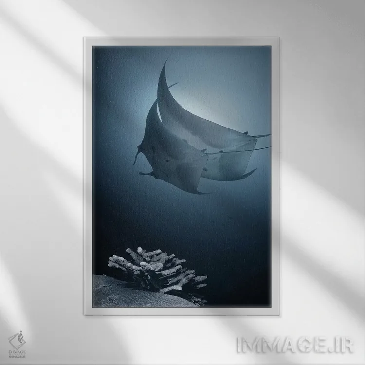تابلو دکوراتیو سوناتا اثر آندری نارچوک - نمای قابدار سفید
